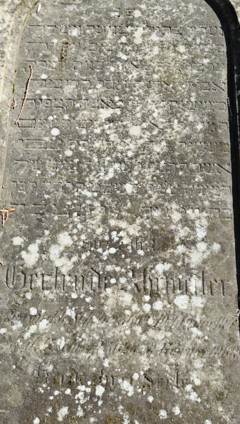 Detail